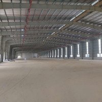 Cho Thuê Kho Tại Hải Phòng Diện Tích Từ 1000M2, 3000M2, 5000M2, 7000M2 , 10000M2. Kho Tiêu Chuẩn.