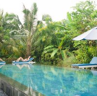 Chào Bán Căn Villa Cẩm Thanh, Hội An. View Sông. Doanh Thu 200 Triệu/ Tháng 27 Tỷ