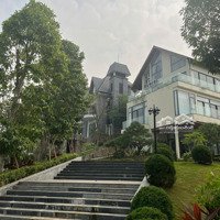 Mình Có Suất Ngoại Giao Mảnh Biệt Thự Dự Án Melorita Cần Bán Gấp 7,4 Tỷ Full Thổ Cư Sẵn Sổ Đỏ Hiếm