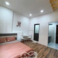 Độc Quyền Căn Hộ Studio Cửa Sổ New 100% Gần Lakeview Giá Ưu Đãi Mùa Tết 2025