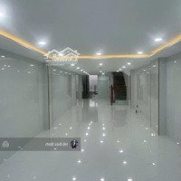 Bán Nhà Quận 8 Âu Dương Lân 150M2 4.1 X 37 Nhỉnh 20Tỷ 15P Có Sân Để Xe Than Máy Pccc