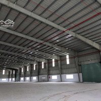 Cho Thuê Xưởng 10,000M 620 Triệu Thuận An 0907 838 118