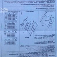 Bán 3 Lô Đất Liền Kề Nhau, Mặt Tiền Đường Gò Cây Sung Sau Lưng Siêu Thị Go - Vĩnh Điềm Trung