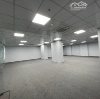 Chủ Cần Bán Gấp, Toà Văn Phòng 140M2 X7T Thang Máy Phố Hào Nam- Đống Đa Dòng Tiền 1,3 Tỷ/Năm.