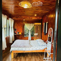 Bán Farmstay Nghỉ Dưỡng View Săn Mây Tại Trung Tâm Đà Lạt, Có Sẳn Nhà Gỗ Giá Cắt Lỗ