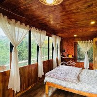 Bán Farmstay Nghỉ Dưỡng View Săn Mây Tại Trung Tâm Đà Lạt, Có Sẳn Nhà Gỗ Giá Cắt Lỗ