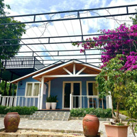 Villa Mini Sân Vườn + 4 Bungalow + Hồ Cá Koi + View Rừng Thông Tại Tp Đà Lạt