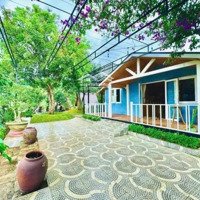 Villa Mini Sân Vườn + 4 Bungalow + Hồ Cá Koi + View Rừng Thông Tại Tp Đà Lạt