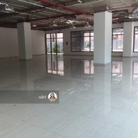 Cho Thuê Sàn 67 Trần Phú (8B Lê Trực) Nh, Showroom, Nhà Hàng 85M2, 150M2, 2000M2. Giá 500K/M2