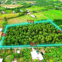 13.738 M2 - Trên Đất Có Cây Tràm - 12 Tỷ - Ngay Dự Án Cầu Hiếu Liêm 2 - Đường Xe Cont