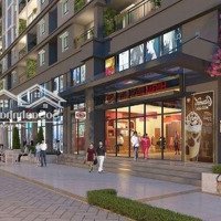 Shophouse Vung Tau Centre Point Mua Từ Cđt , 343M2 Tại Khu Đô Thị Chí Linh, Vũng Tàu, 54 Triệu/M2