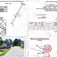 Đất Mặt Tiền Tống Duy Tân, Khu Phố Ông Trịnh, Dài 100M, Diện Tích 488M2, 60M2 Thổ Cư, Gần Đường S