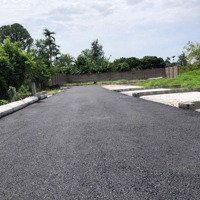 Bán Đất Tại Đông La, Đông Hưng, Thái Bình, Giá Bán 3,9 Tỷ, Diện Tích 162 M2