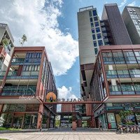 Cập Nhật Full Giỏ Hàng Cho Thuê Shophouse The Galleria - Metropole