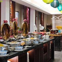 Top Nhà Phố & Khách Sạn Vip Tại Hội An, Quảng Namdiện Tíchtừ 100M2 - 5.000M2