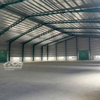 Cho Thuê Kho, Nhà Xưởng Rộng 1550M2 Tại Tân Đông Hiệp, Dĩ An, Bình Dương, Giá Thỏa Thuận