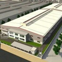 Nhà Xưởng Mới 100% Cho Thuê Trong Kcn Đức Hoà - Long An .20.000M2