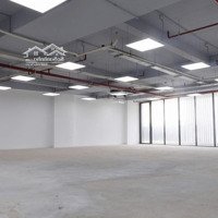 Mb Siêu Hot Đường Quang Trung Gần Ngã 5, Dt: 12X20M, Kc Trệt 2 Lầu Giá Bán 100 Triệu/Tháng