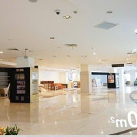 Cho Thuê 2200M2 Showroom Trung Tâm Quận Hải Châu, Tp Đà Nẵng