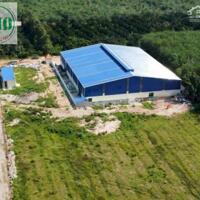 Bán xưởng kv 15.000m2 xưởng 3.000m2 đường Trừ Văn Thố, Bàu Bàng