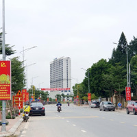 Tôi Cần Bán Căn Biệt Thự Song Lập Trust City Văn Giang