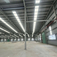 Cho Thuê Kho Tại An Phú, Thuận An.. Giá Cực Chất 55 Nghìn/M2, 23.000M2 (Cho Thuê Lẻ)