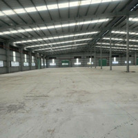 Cho Thuê Kho Tại An Phú, Thuận An.. Giá Cực Chất 55 Nghìn/M2, 23.000M2 (Cho Thuê Lẻ)