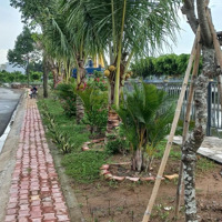 Cho Thuê Đất Tại Vĩnh Phú 1 Thuận An, Bình Dương, 5 Triệu, 220M2