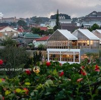 View Thung Lũng Bình Minh Cực Đẹp, Bán Đất Mặt Tiền Tặng Quán Cafe Đang Kinh Doanh Hoàng Hoa Thám