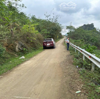 Bán Nhanh Lô Đất Tuyệt Đẹp View Cánh Đồng, Bám Đường Betong Tại Kim Bôi - Hoà Bình