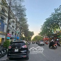 Đỉnh Cao Shophouse- Dreamland Xuân La - Tây Hồ - Ngoại Giao Đoàn- Lô Góc- Kinh Doanh Vô Đối