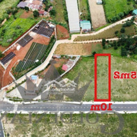 Bán Đất Biệt Thự Nghỉ Dưỡng 565 M2, Giá Bán 16 Triệu/M2 Các Trung Tâm Đà Lạt 10 Km