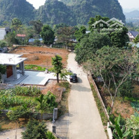 Cần Chuyển Nhượng Lô Góc S =400M2 Full Ont, Sẵn Sổ Hồng Đẹp, Đất Bằng Phẳng. Giá Đầu Tư Hợp Lý.