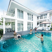 Giỏ Hàng Độc Quyền Biệt Thự Premier Village Đà Nẵng, Giá Thanh Khoản Cao Và Cho Thuê Cao