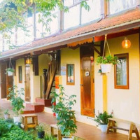 Cơ Hội Đầu Tư Bđs Dòng Tiền Tại Măng Đen - Sở Hữu Ngay Homestay 1000M2 Có 10 Phòng