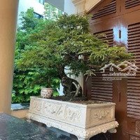 Siêu Phẩm Lô Góc - Đường Bưởi - 130M2 X 4T - Oto Tránh - 10M Ra Phố