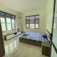 Cho Thuê Biệt Thự Nguyên Căn Khuôn Viên 240M2, Xây Dựng 90M2 X 3,5 Tầng, 6 Phòng, Đầy Đủ Nội Thất