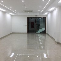 Cho Tòa Nhà Văn Phòng Ngõ 34 Nguyên Hồng, Diện Tích: 70M2 X 8 Tầng Thang Máy, Phòng Cháy Đầy Đủ, Nhà Mới.