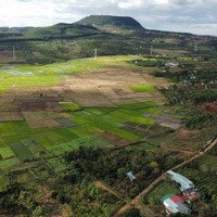 Bán Đất Nền Đẹp Nguyễn Chí Thanh Thung Lũng Chư Á, Gia Lai (Cách Đường Lớn 500M)