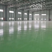 Cho Thuê 13.000 - 26.000 - 40.000 M2 Xưởng Trong Kcn Bắc Ninh. Pccc Tự Động. Thành Lập Dn Fdi, Epe