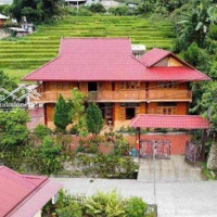 Bán Homestay 270M2 Thổ Cư Sa Pa, 4,5 Tỷ, Tổng 500M2, Siêu Hot Uy Tín Cách Trung Tâm Chưa Đến 10Km