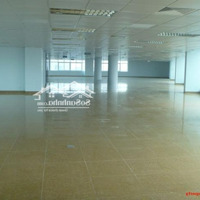 Cho Thuê Văn Phòng Mặt Đường Trần Phú, Hà Đông, 450M2, Sẵn Nội Thất, Chỉ 150 Nghìn/M2 (0917881711)