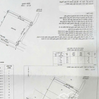 Bán Đất Mặt Tiền Biển Thị Trấn Cần Thạnh, Cần Giờ