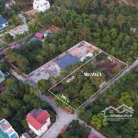 Lâm Phong Thịnh 286.000Usd Sóc Sơn, Hà Nội, Giá Tốt 7,5 Triệu / M2, 1500M2