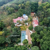 Cần Vốn Đầu Tư Chủ Hạ Giá Cực Sâu Khu Homestay Tại Ba Vì
Bán Khu Nghỉ Dưỡng 3000 M2 (300 Thổ Cư)