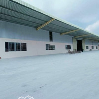 Công Ty Cần Cho Thuê Kho, Xưởng 1700M2, Thủ Dầu Một.