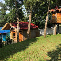 Bán Gấp Homestay Đang Hoạt Động Tại Vân Hoà, Ba Vì Sinh Luôn Dòng Tiền.diện Tích3161,6M Giá Chỉ 4 Triệu/M2