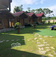 Bán Gấp Homestay Đang Hoạt Động Tại Vân Hoà, Ba Vì Sinh Luôn Dòng Tiền.diện Tích3161,6M Giá Chỉ 4 Triệu/M2