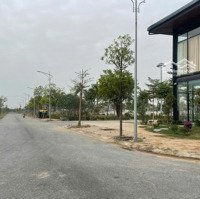 Tiềm Năng Tăng Giá Của Dự Án Majestic City