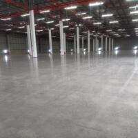 Cho thuê kho xưởng 4000m2-15000m2 KCN Xuyên Á, Mỹ Hạnh Bắc, Đức Hòa, Long An